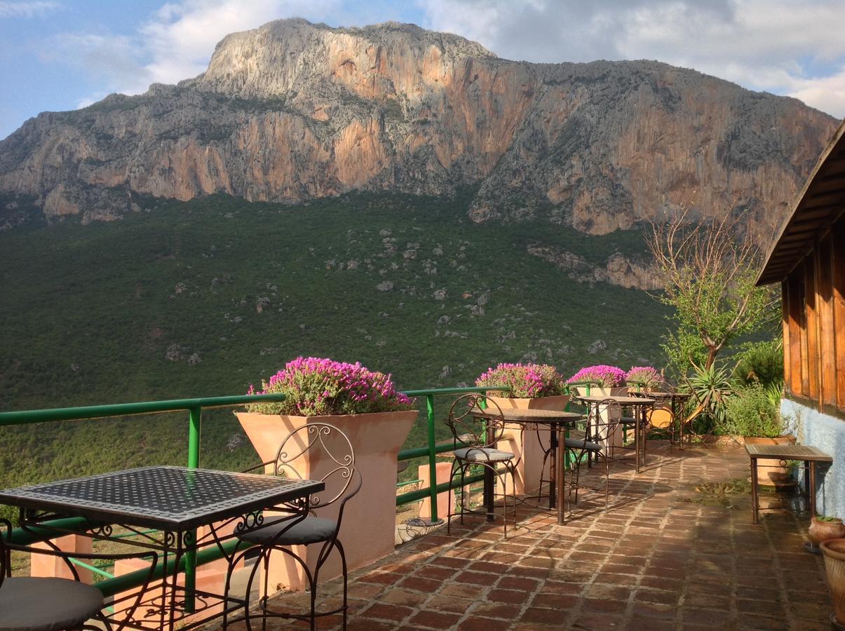 Caiat Lounge Refuge Vandrarhem Taghzoute Exteriör bild